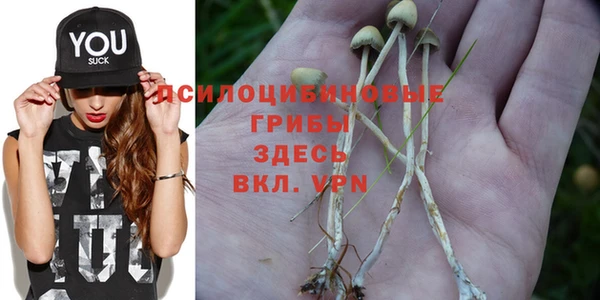 экстази Надым