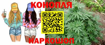марихуана Аргун