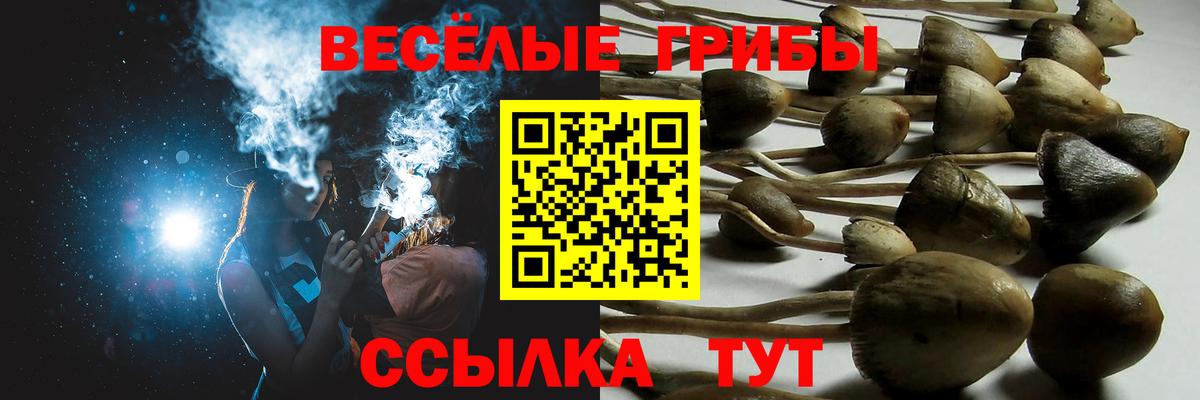 Лысьва  наркотики  Вход с VPN  Галлюциногенные грибы GOLDEN TEACHER 
